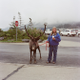 Illustration for article titled The Alaskan Town Living Under One Roof